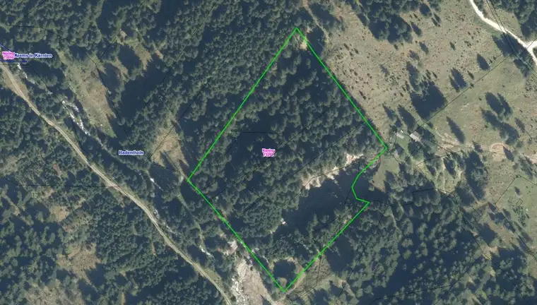 GEPFLEGTER WALD IN KANING ZU VERKAUFEN