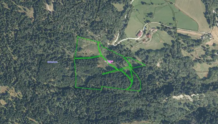 WALDGRUNDSTÜCKE AM LAUFENBERG ZU VERKAUFEN