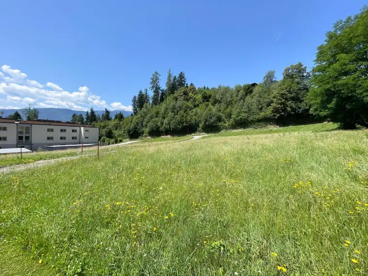 Baugrundstück für Familien in der Marktgemeinde Millstatt am See - Tschierweg!