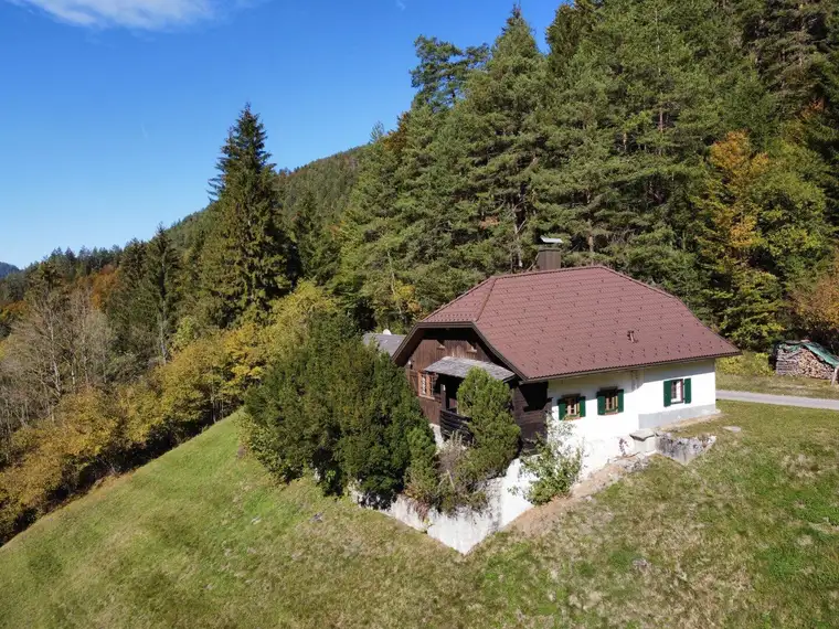 EIN RÜCKZUGSORT MIT BESONDEREM CHARME – WALDHAUS MIT ATELIER IN RUHELAGE!