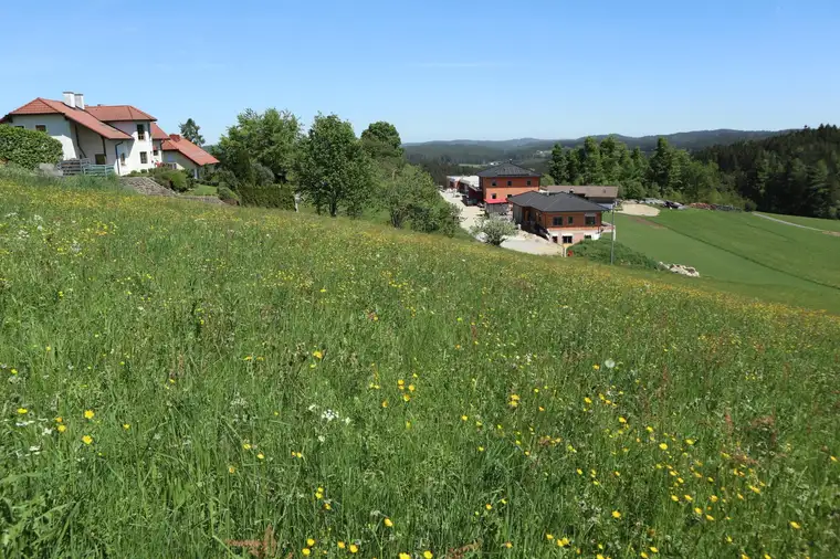 Baugrund in Dorfrandlage