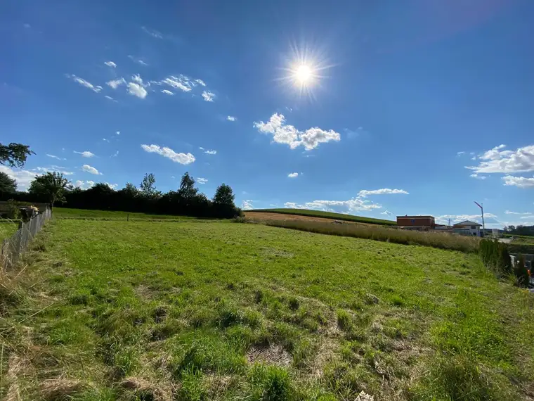 Baugrundstück mit Blick ins Grüne