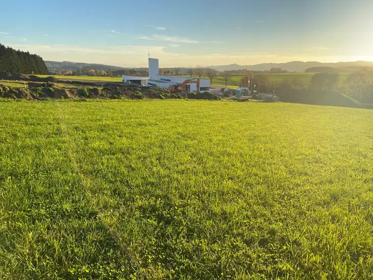 Baugrundstücke Grünbach bei Freistadt