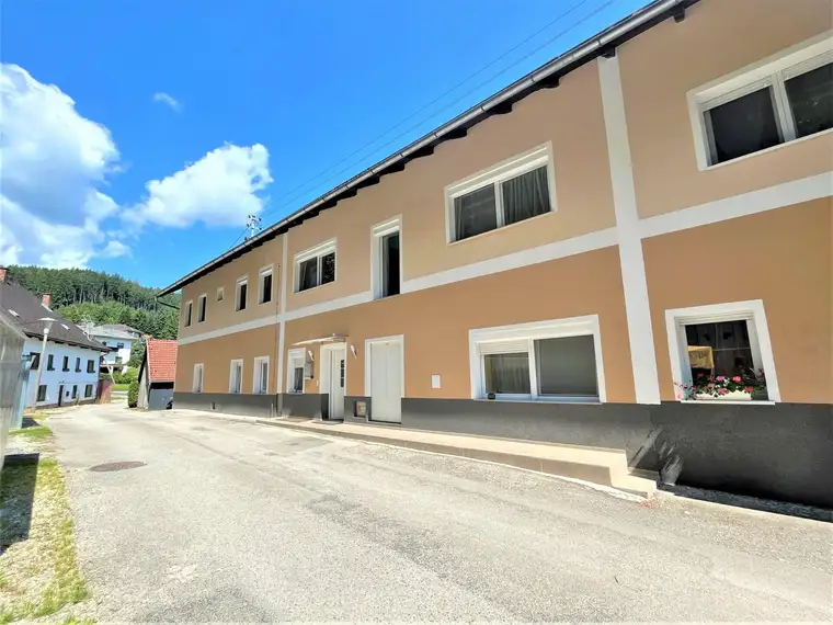 Saniertes Reihenhaus mit Grundstück und Doppelcarport