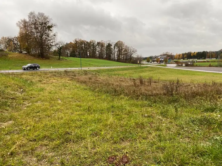 Mein Baugrund in Münzbach: nur mehr 1 Baugrund verfügbar-Neuer Preis!