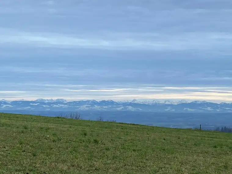 Mein Baugrund im Weingarten (6 Baugründe)