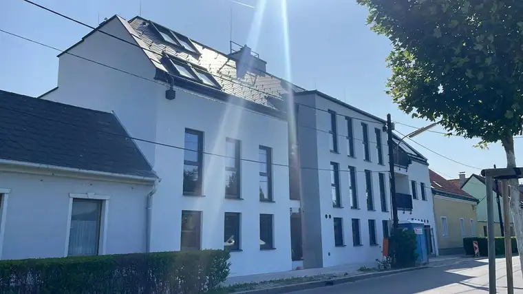 Neubau Zinshaus