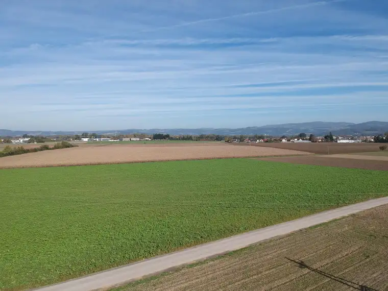 Landwirtschaftlicher Nutzgrund in Alkoven