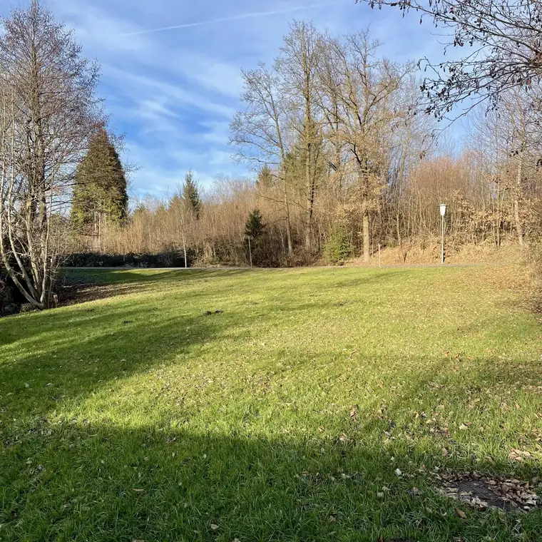 Erschlossenes Baugrundstück ohne Bauzwang - Natur trifft auf Lebensqualität