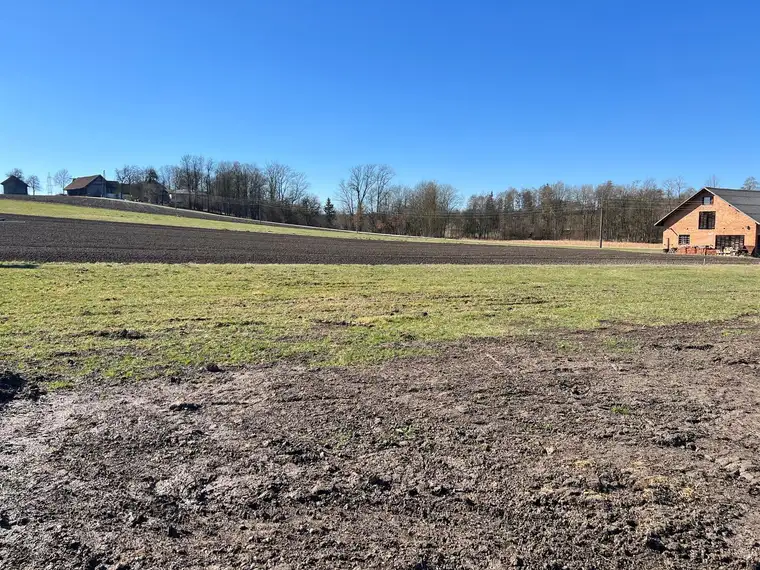 Baugrund in locker verbauter Ortsrandlage