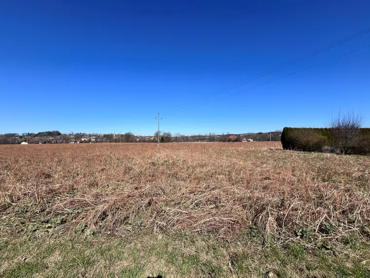 Ebene Baugründe in sonniger Ortsrandlage