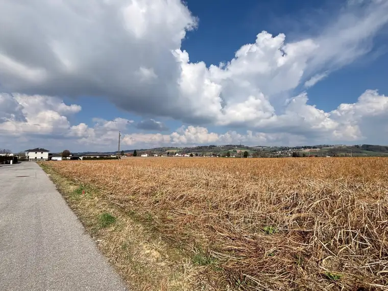 Baugrund sonnige und ebene Lage in Haid