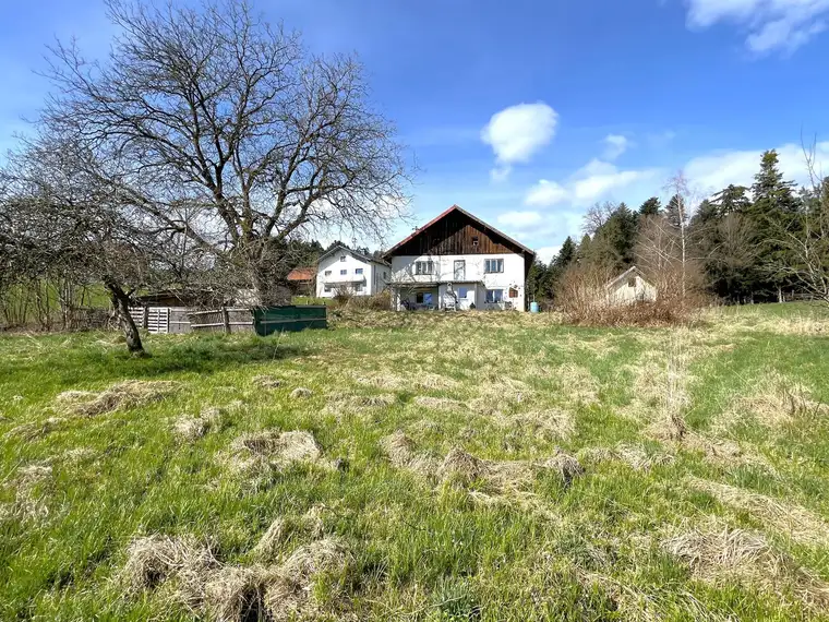 Ruhiges Grundstück mit Altbestand