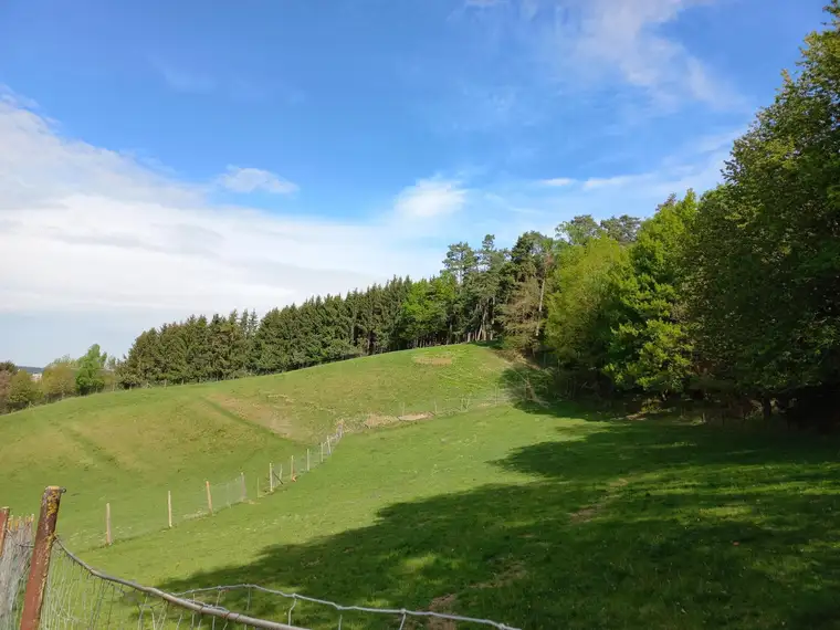 Hirschgehege - eingebettet in wunderschöner ruhiger Aussichtslage !