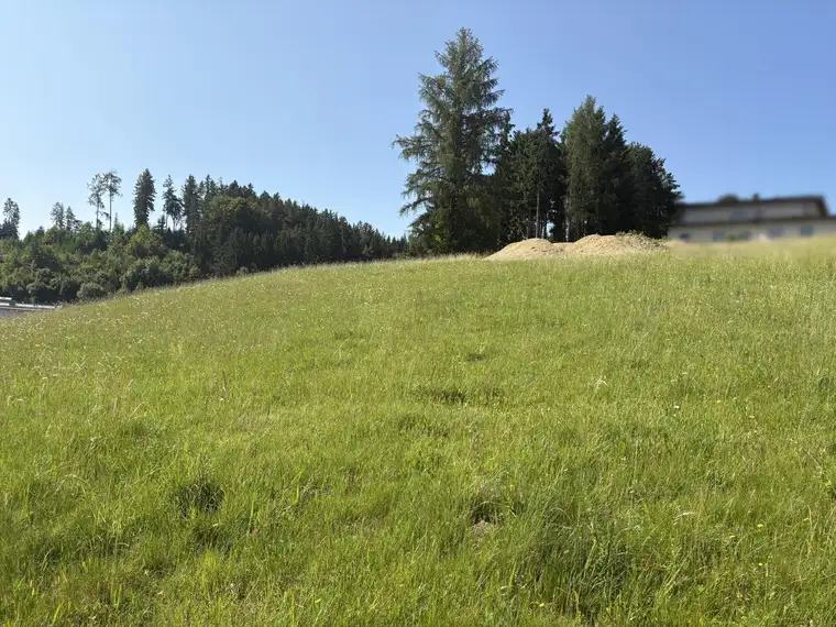 Ein Platz an der Sonne - Baugrundstück ohne Bauverpflichtung