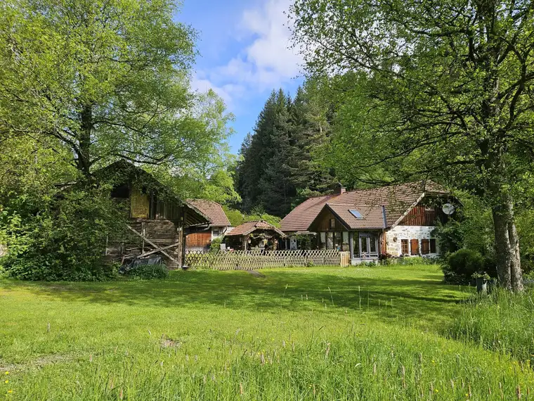 Sacherl (ehem. Mühle) in idyllischer Alleinlage samt Wald- und Wiesengrund