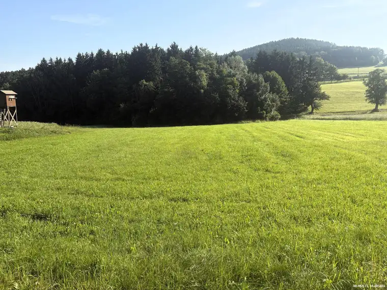 Wald- und landwirtschaftliche Nutzflächen