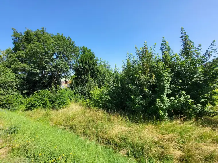 Gewerbegrundstücke in Leonding