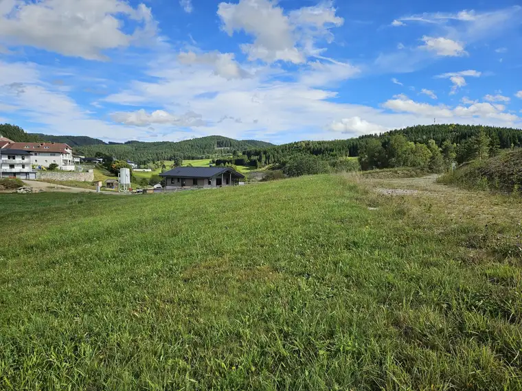Günstiger Baugrund in Ortsrandlage
