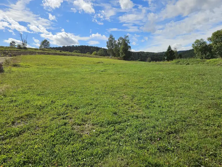 Baugrund in Siedlungslage am Ortsrand