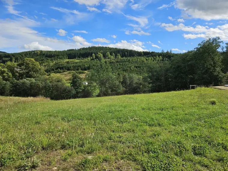 Baugrund in Siedlungslage am Ortsrand