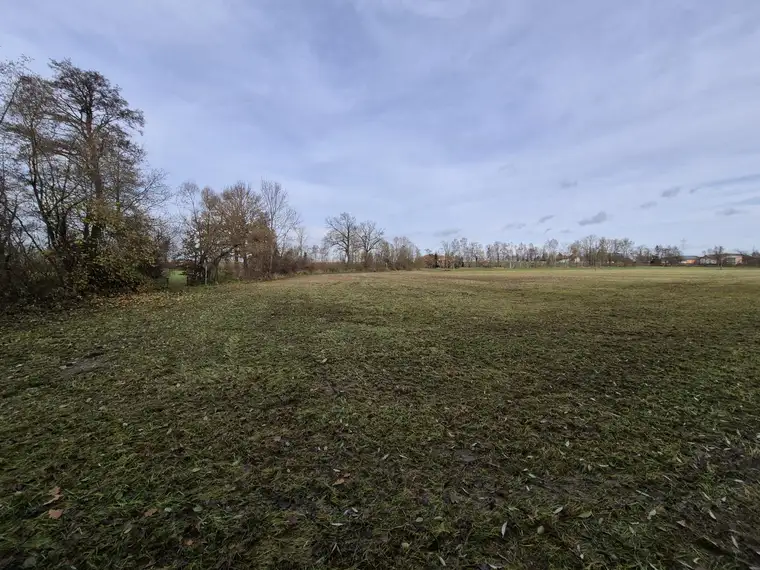 Ebenerdiges Ackerland mit Brache