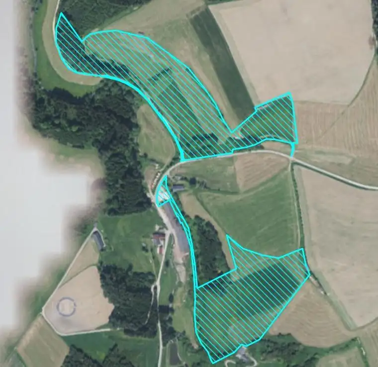 Landwirtschaftliche Flächen, Wald