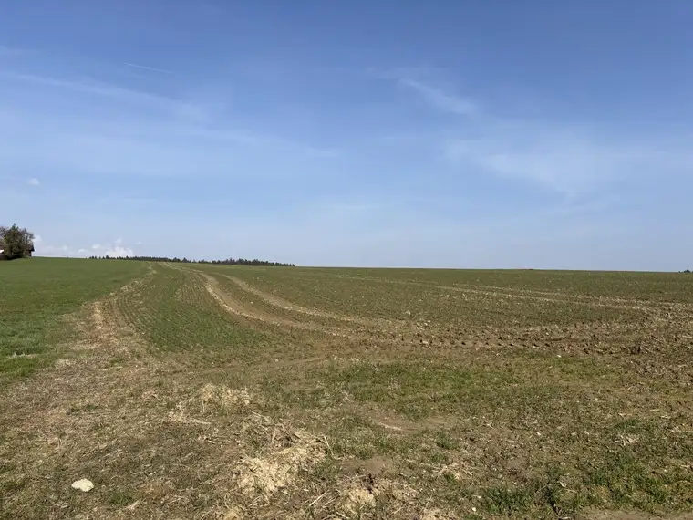 landwirtschaftlicher Nutzgrund in Andling