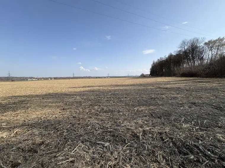 Ebenerdiges Ackerland nahe Ortszentrum Burgkirchen