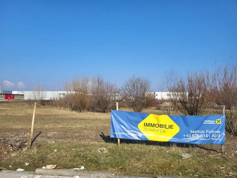 Baugrundstück Wels-Ost Ginzkeystraße