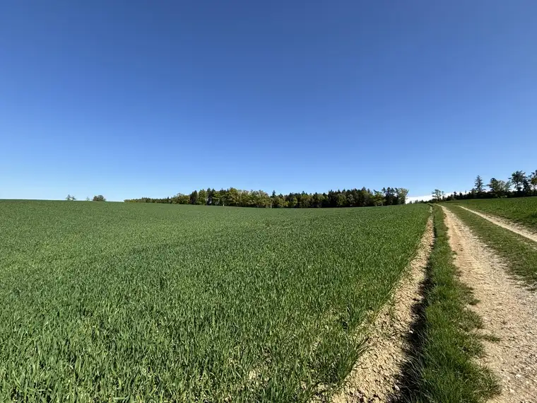 Attraktive Landwirtschaftsfläche in Eggendorf im Traunkreis