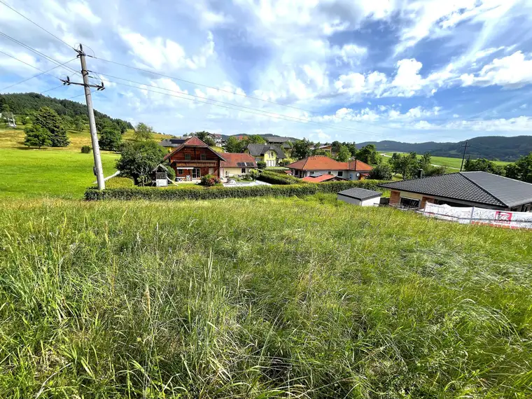 Ruhiger Baugrund mitten in der Natur ohne Bauzwang!