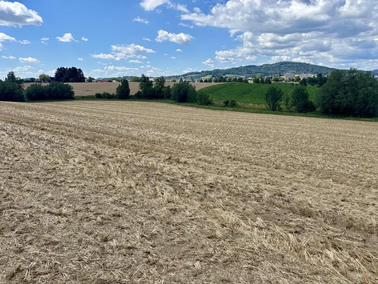 Landwirtschaftlicher Nutzgrund Leonding