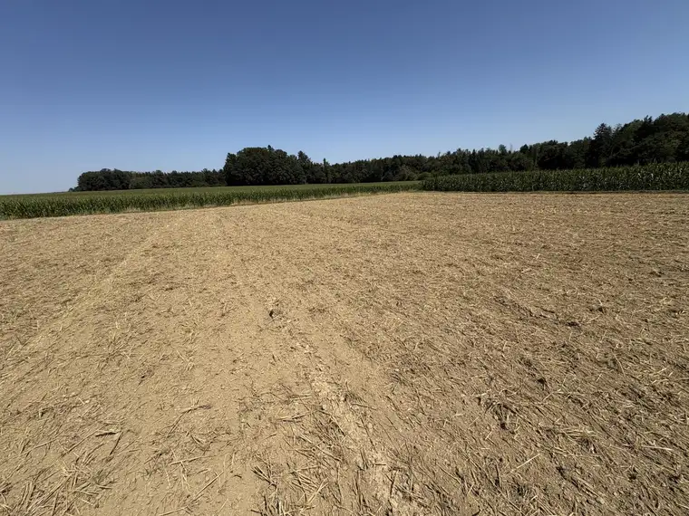 landwirtschaftliche Nutzgründe