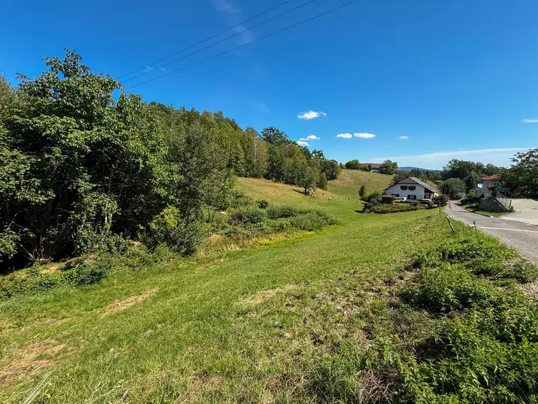 Baugrundstück ohne Bauzwang | 1.083 m² in ruhiger, zentrumsnaher Lage