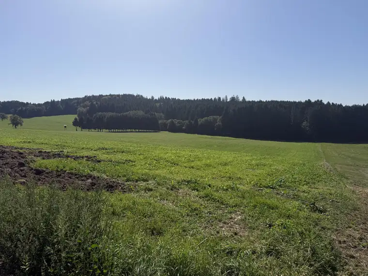 Arrondierte landwirtschaftliche Nutzfläche