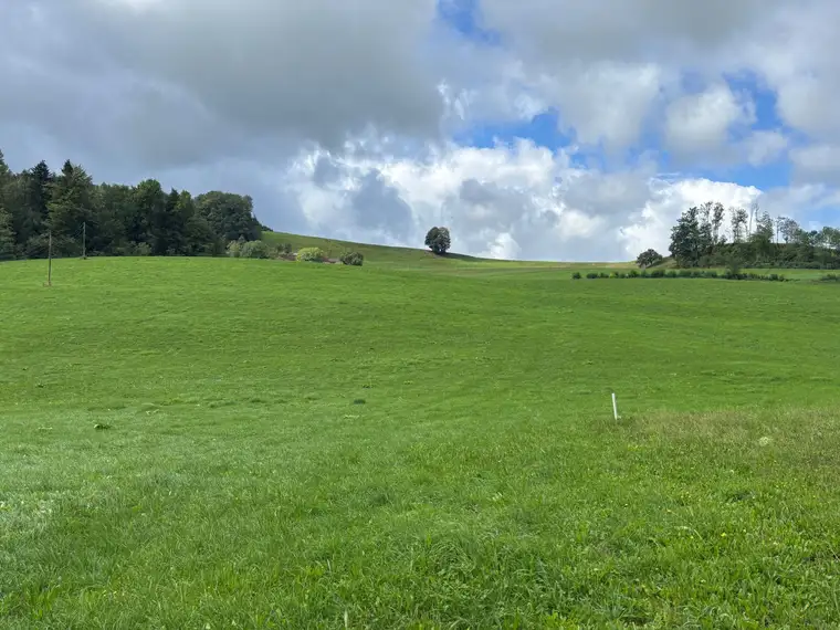 Landwirtschaftliche Nutzfläche und Wiese
