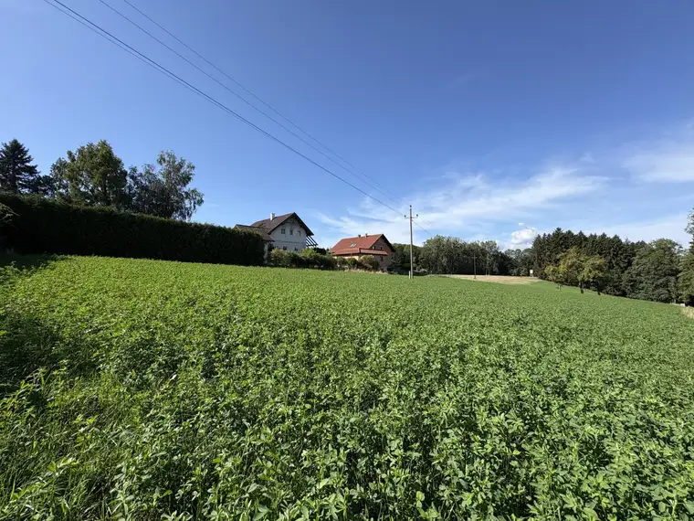 Attraktives Baugrundstück in herrlicher Grünlage ohne Bauverpflichtung!