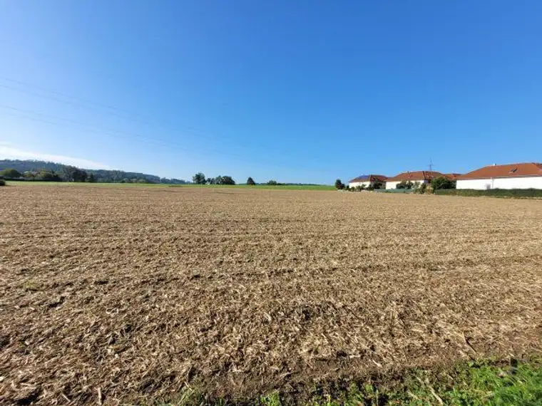 Interessantes Grundstück für Bauträger