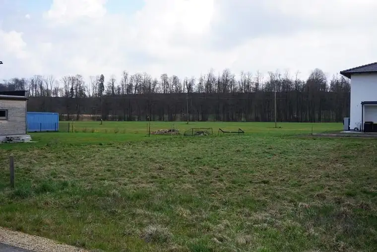 Wohnbaugrundstück in Suben