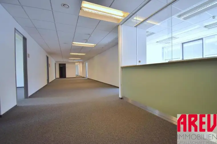 PERFEKTE BÜROFLÄCHE IN DER BLUMAUERSTRASSE - B04