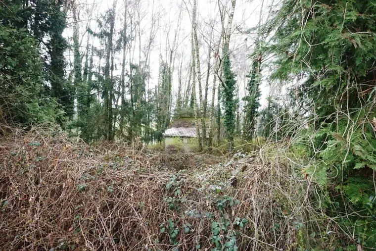 Bald im Angebot - Bauland (Dorfgebiet) und landwirtschaftlicher Nutzgrund