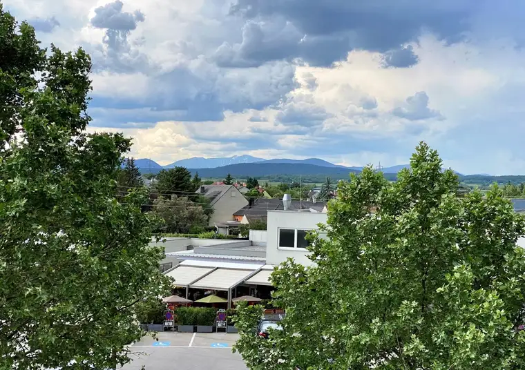 Sonnige Wohnung mit Schneebergblick