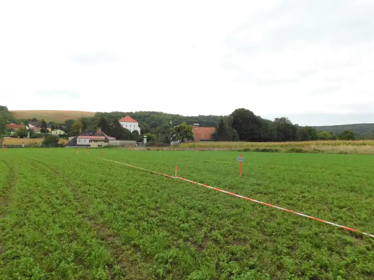 Baugrundstücke in Niederkreuzstetten in traumhafter Lage im Herzen des Weinviertels