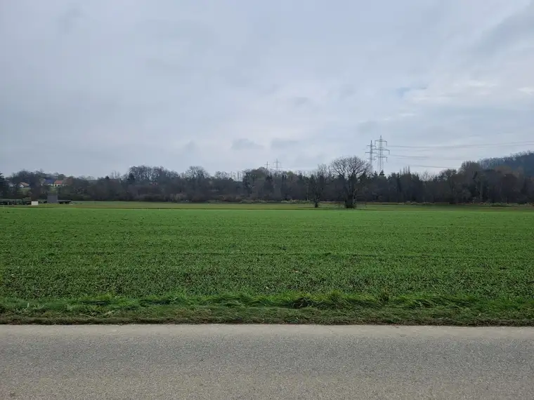 RARITÄT: ZUSAMMENHÄNGENDE LIEGENSCHAFT ALS KAPITALANLAGE DIREKT AN DER DERZEITIGEN BAULANDGRENZE ODER GRUNDSTÜCK MIT HOHEM UMWIDMUNGSPOTENTIAL