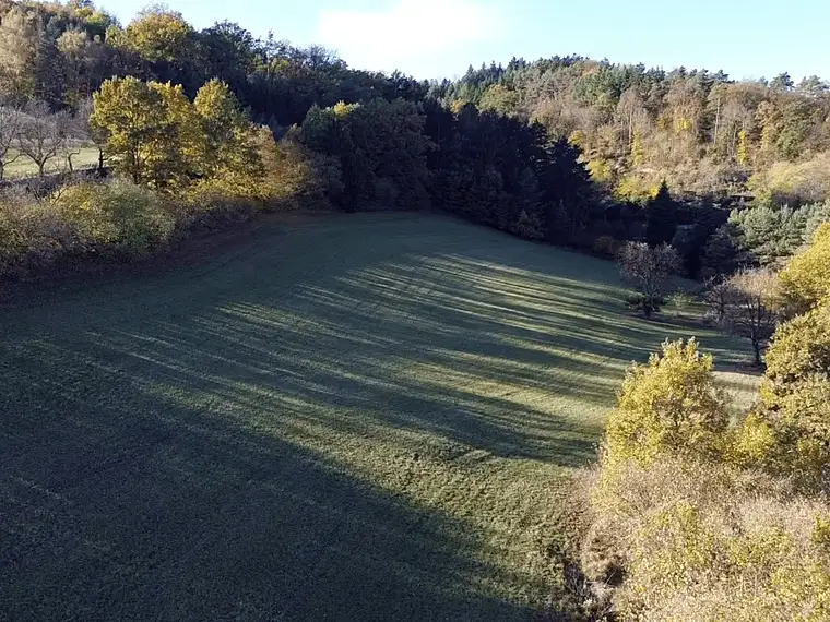 Großes an Bauland grenzendes Grünland-Grundstück bei Emmersdorf!
