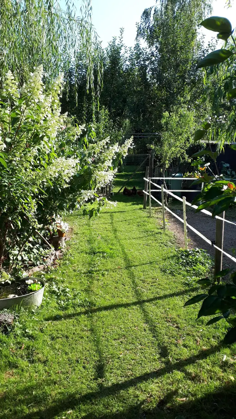 Schickes Landhaus in Oberdanegg im Gartenparadies! Tierhaltung möglich!