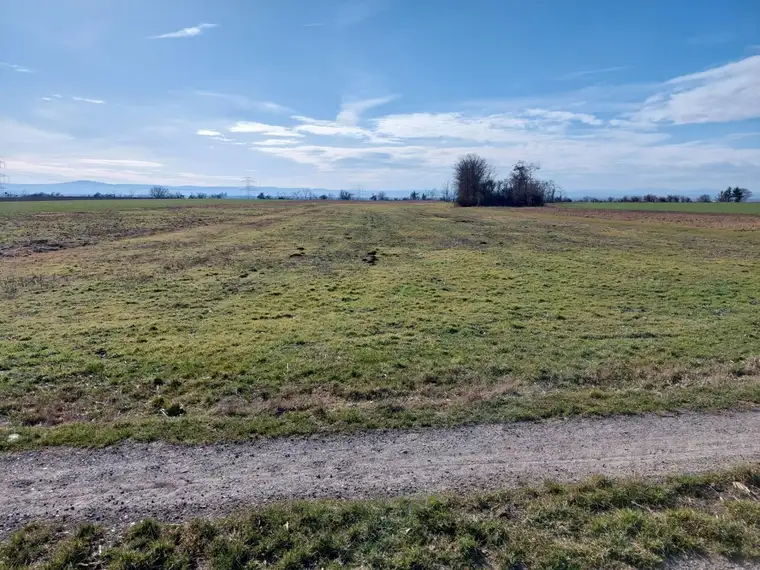 KLEINE ACKERFLÄCHE MIT GUTER BONITÄT IN SEITZERSDORF-WOLFPASSING