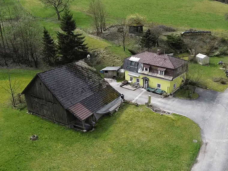 HandwerkerIn gesucht im kleinen Yspertal: liebenswertes Haus unweit von Nöchling