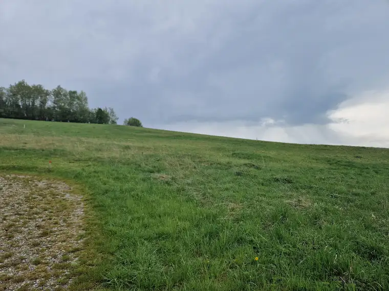 AUSSERGEWÖHNLICHES BAUGRUNDSTÜCK IN MAIGEN MIT HERRLICHEM AUS- UND FERNBLICK IN TOLLER, RUHIGER, ERHÖHTER WOHNLAGE